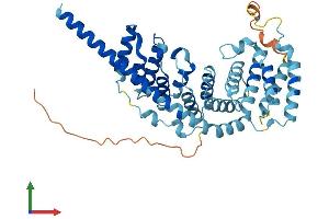AlphaFold protein structure predicition of Human Recombinant MRPS27 Protein, UniprotID Q92552