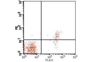Flow cytometric analysis of human peripheral blood lymphocytes using Anti-CD23 Antibody, followed by anti-mouse IgG PE.