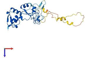 AlphaFold protein structure predicition of Human Recombinant ARL14EP Protein, UniprotID Q8N8R7