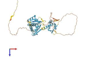 AlphaFold protein structure predicition of Mouse Recombinant Pcbp3 Protein, UniprotID P57722