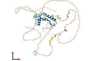 AlphaFold protein structure predicition of Human Recombinant SOX8 Protein, UniprotID P57073