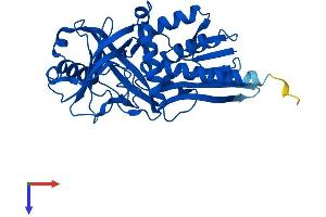 AlphaFold protein structure predicition of Mouse Recombinant Dao Protein, UniprotID P18894