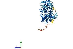 AlphaFold protein structure predicition of Human Recombinant SLC22A8 Protein, UniprotID Q8TCC7