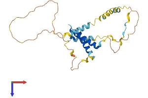 AlphaFold protein structure predicition of Mouse Recombinant Cdca4 Protein, UniprotID Q9CWM2