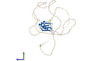 AlphaFold protein structure predicition of Mouse Recombinant Rbmy1a1 Protein, UniprotID O35698
