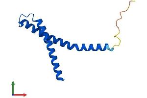 AlphaFold protein structure predicition of Human Recombinant TIMM10B Protein, UniprotID Q9Y5J6