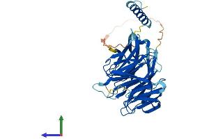 AlphaFold protein structure predicition of Mouse Recombinant Preb Protein, UniprotID Q9WUQ2