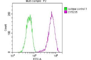 Overlay histogram showing Hela cells stained with ABIN7127599 (red line) at 1:50. (Recombinant LDLR anticorps)