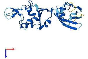 AlphaFold protein structure predicition of Mouse Recombinant Cyb5d1 Protein, UniprotID Q5NCY3