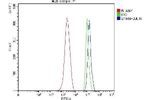 Flow Cytometry analysis of ANA-1 cells using anti-SNRNP200 antibody (ABIN7602032).