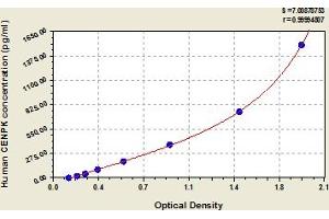 Typical Standard Curve (CENPK Kit ELISA)
