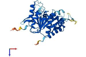 AlphaFold protein structure predicition of Human Recombinant NUBP2 Protein, UniprotID Q9Y5Y2