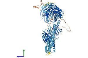 AlphaFold protein structure predicition of Human Recombinant IFT122 Protein, UniprotID Q9HBG6