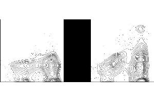 C57Bl/6 splenocytes were stained with FITC Anti-Mouse MHC Class II (ABIN6961582) and 0.