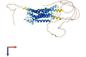 AlphaFold protein structure predicition of Mouse Recombinant Adra1b Protein, UniprotID P97717