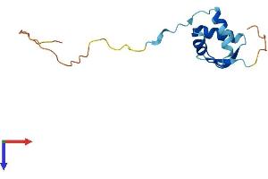 AlphaFold protein structure predicition of Mouse Recombinant Rps25 Protein, UniprotID P62852