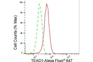 Flow cytometric analysis of TEAD1 expression in HepG2 cells using TEAD1 antibody (ABIN7800524), 1:2,000).