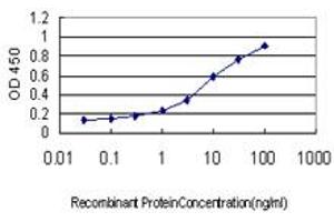 Detection limit for recombinant GST tagged BIRC4 is approximately 0. (XIAP anticorps  (AA 51-150))
