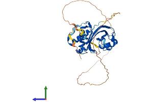 AlphaFold protein structure predicition of Human Recombinant AMMECR1 Protein, UniprotID Q9Y4X0