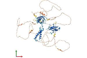 AlphaFold protein structure predicition of Human Recombinant SH2B1 Protein, UniprotID Q9NRF2
