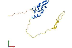 AlphaFold protein structure predicition of Mouse Recombinant Rnf224 Protein, UniprotID Q3UIW8