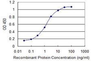 Detection limit for recombinant GST tagged CDR2 is 0. (CDR2 anticorps  (AA 296-404))