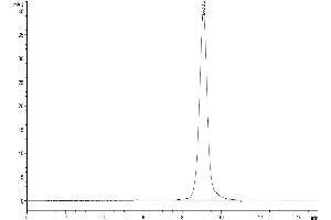 The purity of Mouse CD200 is greater than 95 % as determined by SEC-HPLC. (CD200 Protein (CD200) (AA 31-232) (His tag))