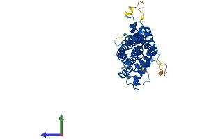 AlphaFold protein structure predicition of Human Recombinant PEX3 Protein, UniprotID P56589