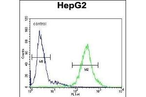IL1RN Antibody (C-term) (ABIN1882098 and ABIN2840789) flow cytometric analysis of HepG2 cells (right histogram) compared to a negative control cell (left histogram). (IL1RN anticorps  (C-Term))