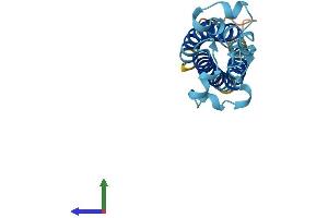 AlphaFold protein structure predicition of Human Recombinant TM4SF1 Protein, UniprotID P30408