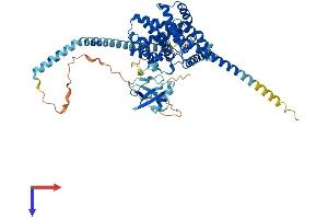 AlphaFold protein structure predicition of Human Recombinant PDE9A Protein, UniprotID O76083