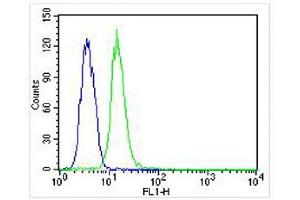 Overlay histogram showing HL-60 cells stained with (ABIN654913 and ABIN2844559) (green line).