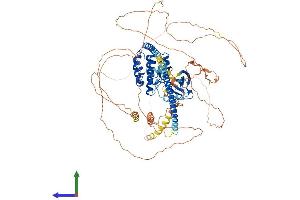 AlphaFold protein structure predicition of Human Recombinant MAP3K12 Protein, UniprotID Q12852