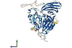 AlphaFold protein structure predicition of Mouse Recombinant Cyb5r4 Protein, UniprotID Q3TDX8