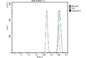 Flow Cytometry analysis of MCF-7 cells using anti-RASGRP1 antibody (ABIN7602498). (RASGRP1 anticorps  (AA 8-678))