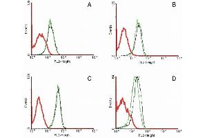 Flow cytometry analysis of 5-bromodeoxyuridin (BrdU) incorporation in CEM human acute lymphoblastic leukemia cell line using purified anti-5-bromodeoxyuridin (MoBu-1) (detection by Goat anti-mouse IgG1 FITC). (FAS anticorps  (PE))