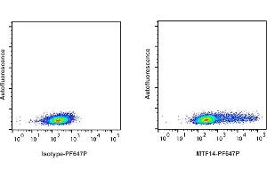 Detection of IFN-ү by flow cytometry in viable ferret spleen cells. (Interferon gamma anticorps  (PromoFluor 647 Premium))