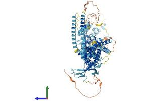 AlphaFold protein structure predicition of Human Recombinant TRPV2 Protein, UniprotID Q9Y5S1