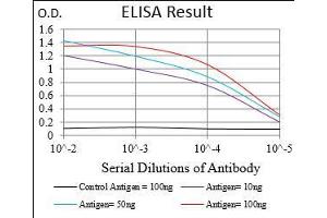 Black line: Control Antigen (100 ng), Purple line: Antigen(10 ng), Blue line: Antigen (50 ng), Red line: Antigen (100 ng),
