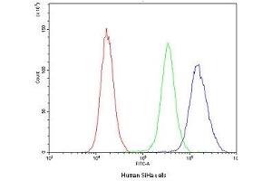 Flow cytometry testing of human SiHa cells with NFIA antibody at 1ug/10^6 cells (blocked with goat sera) (NFIA anticorps  (AA 180-224))