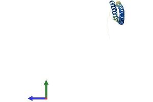 AlphaFold protein structure predicition of Mouse Recombinant Bet1 Protein, UniprotID O35623