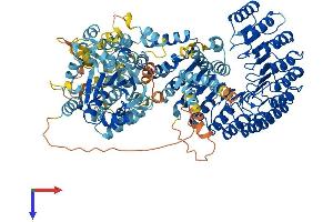 AlphaFold protein structure predicition of Human Recombinant NLRP12 Protein, UniprotID P59046