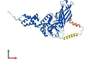 AlphaFold protein structure predicition of Human Recombinant FBXO3 Protein, UniprotID Q9UK99