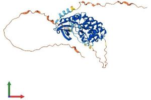 AlphaFold protein structure predicition of Mouse Recombinant Sbk1 Protein, UniprotID Q8QZX0