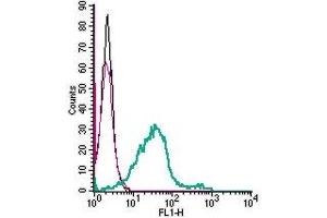 Cell surface detection of GPR55 in live intact mouse BV-2 microglia cells: (black line) Cells.