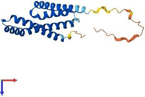 AlphaFold protein structure predicition of Human Recombinant TIMM17B Protein, UniprotID O60830