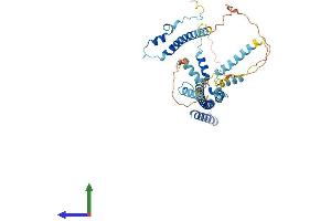 AlphaFold protein structure predicition of Mouse Recombinant Tada3 Protein, UniprotID Q8R0L9