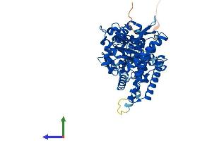 AlphaFold protein structure predicition of Mouse Recombinant Cyp1a1 Protein, UniprotID P00184