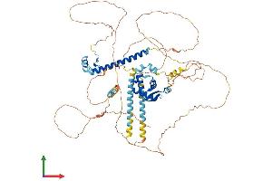 AlphaFold protein structure predicition of Human Recombinant FOXP4 Protein, UniprotID Q8IVH2
