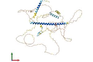 AlphaFold protein structure predicition of Human Recombinant SGO1 Protein, UniprotID Q5FBB7